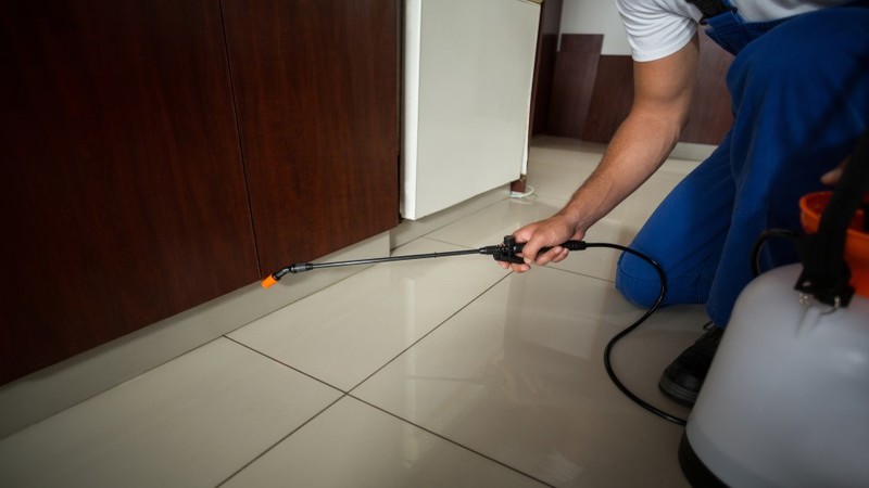 Don’t Let Rodents Stir Up Trouble in the Workplace in Newcastle