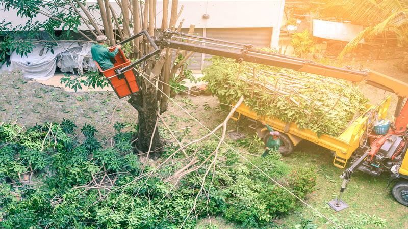 Storm Safety Enhanced Through Tree Pruning Services in Gig Harbor WA
