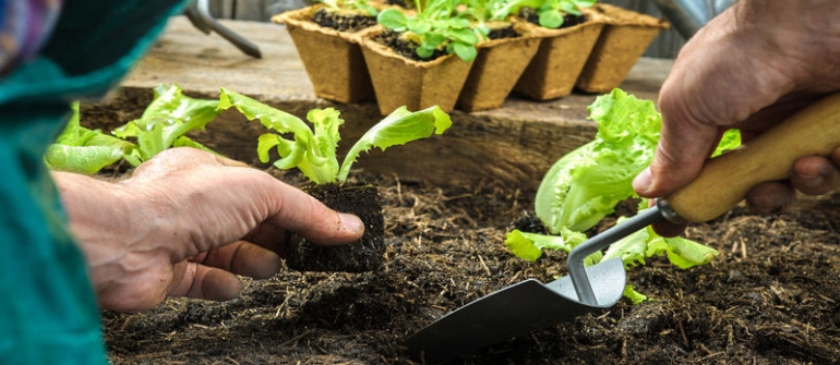 Three Inspiring Landscaping and Home Renovation Ideas and Hints