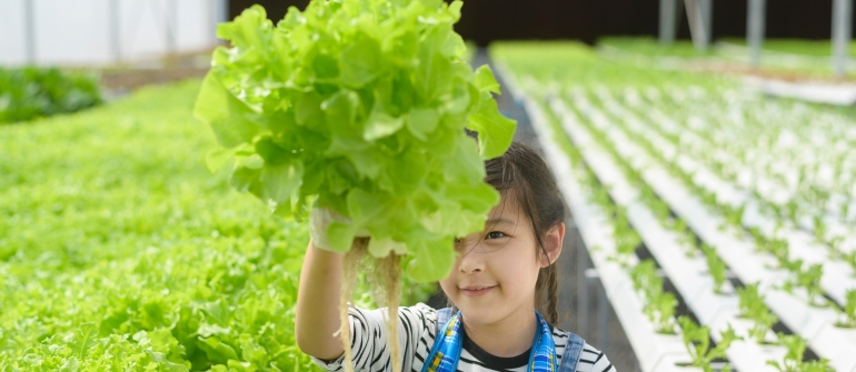 The Benefits You Gain by Joining a General Farm Organization in Madison, WI