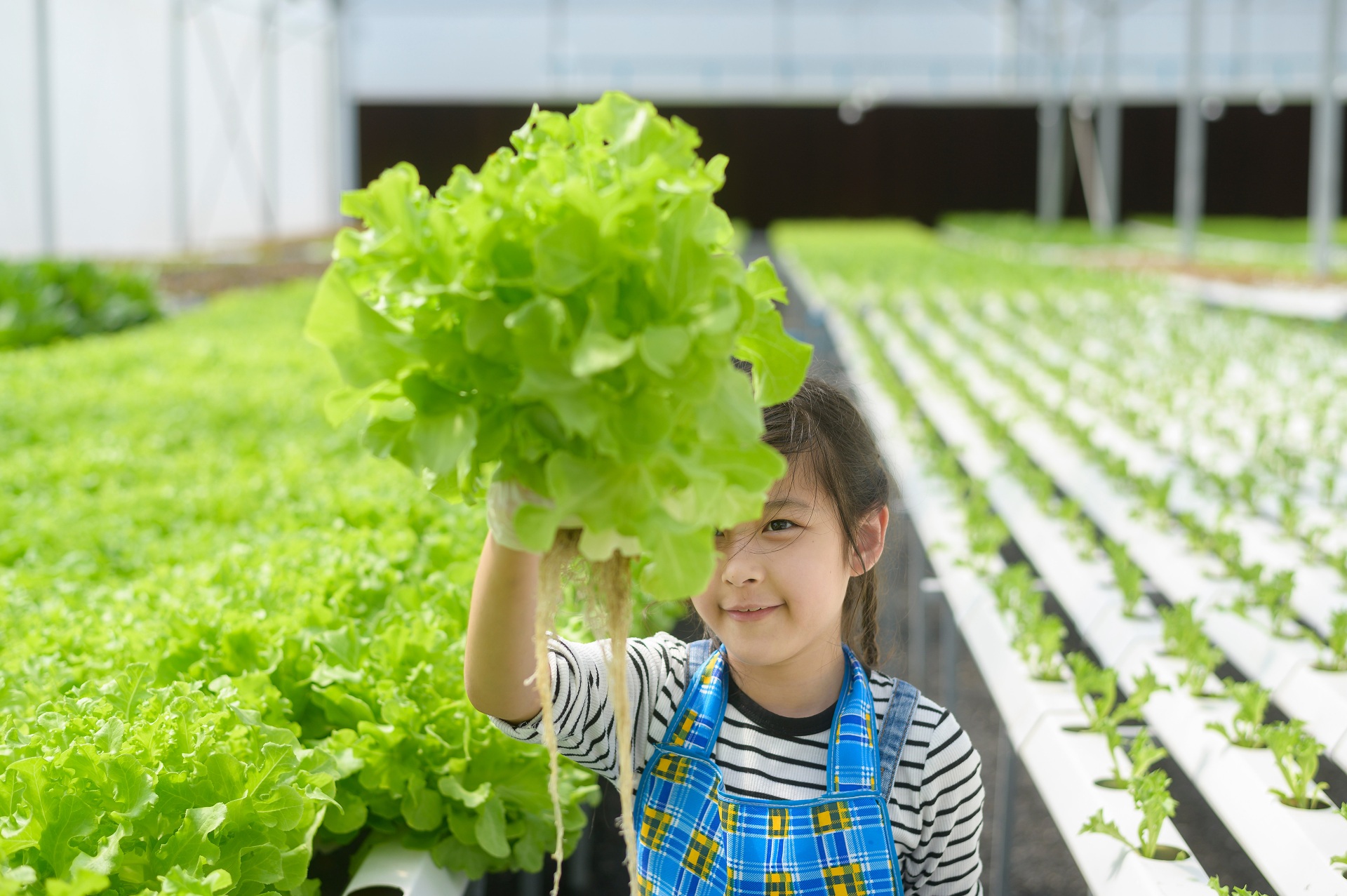 The Benefits You Gain by Joining a General Farm Organization in Madison, WI