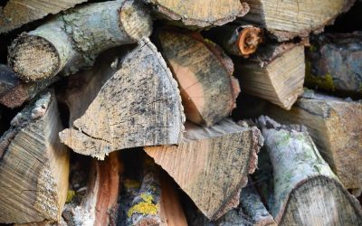 Your Guide to Quality Firewood For Sale Near NJ
