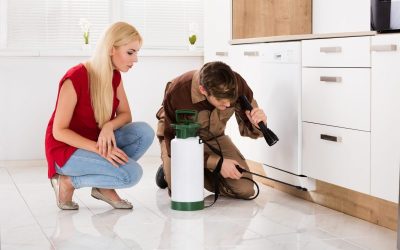 Secure Peace of Mind using a Pest Control Company Cedar Grove NJ Families Recommend
